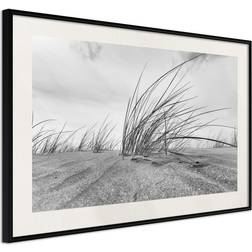 Arkiio Affisch Seaside Reed [Poster] 30x20 Poster